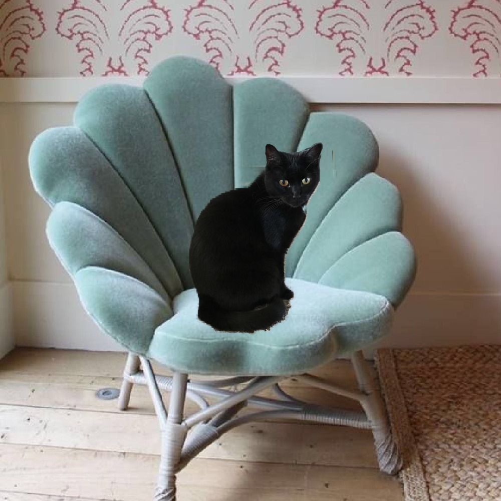 Meet your Posher, Kathryn